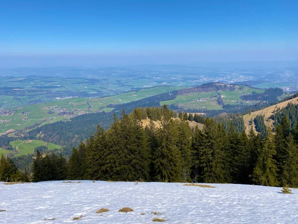 Vroege Lente Sfeer Met Laatste Overblijfselen Van Winter Sneeuw Het — Stockfoto