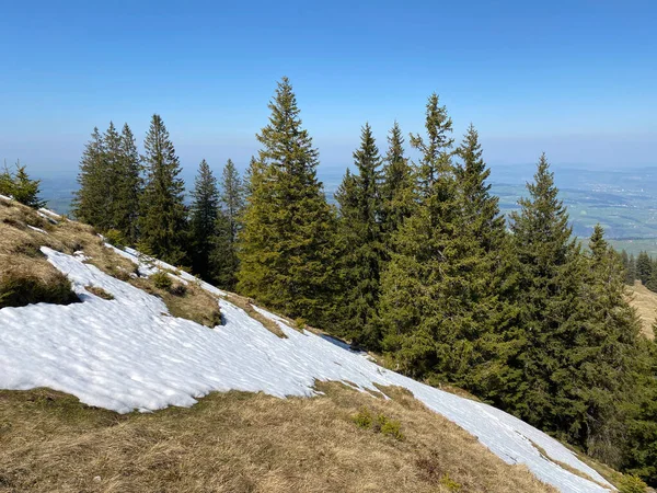 Ranní Jarní Atmosféra Posledními Zbytky Zimy Sněhu Eigental Alpine Valley — Stock fotografie
