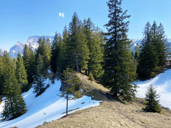 Атмосфера Ранней Весны Последними Остатками Зимы Снега Кантоне Люцерн Швейцария — стоковое фото