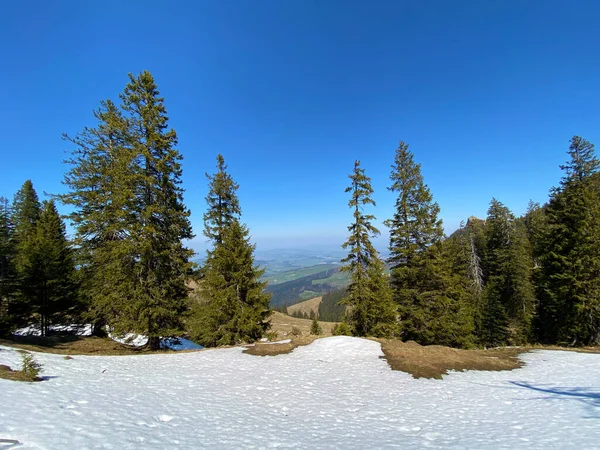Ranní Jarní Atmosféra Posledními Zbytky Zimy Sněhu Eigental Alpine Valley — Stock fotografie