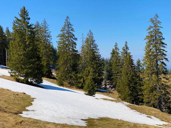 Atmósfera Primavera Temprana Con Los Últimos Restos Invierno Nieve Valle — Foto de Stock
