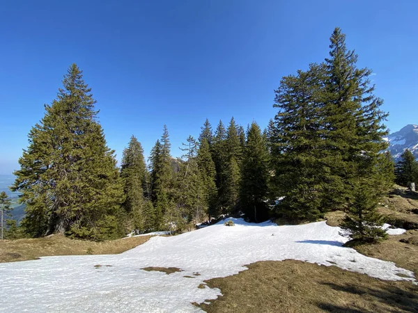 Атмосфера Ранней Весны Последними Остатками Зимы Снега Кантоне Люцерн Швейцария — стоковое фото