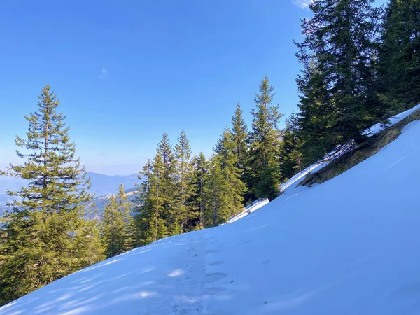 Início Primavera Atmosfera Com Últimos Restos Inverno Neve Vale Alpino — Fotografia de Stock