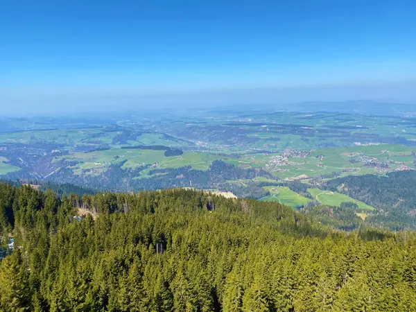 Pohled Vrcholu Alpského Kopce Hueenerhubel Oder Huenerhubel Přes Údolí Eigental — Stock fotografie