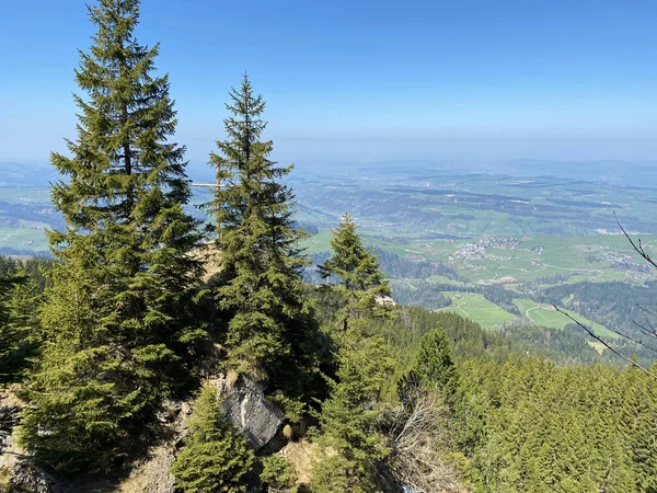 Vue Sommet Colline Alpine Hueenerhubel Oder Huenerhubel Sur Vallée Eigental — Photo