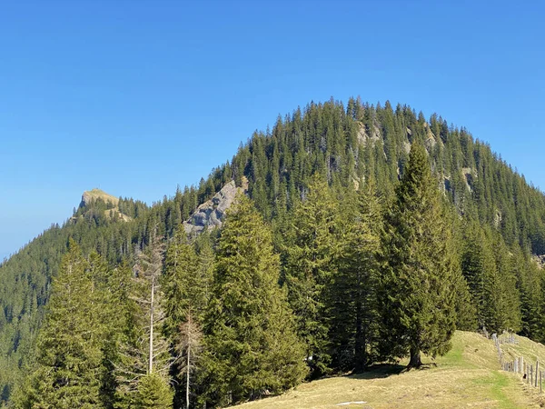 Montagnes Alpines Raegeflueeli Ragenflueli Studberg Sur Vallée Eigental Eigenthal Canton — Photo