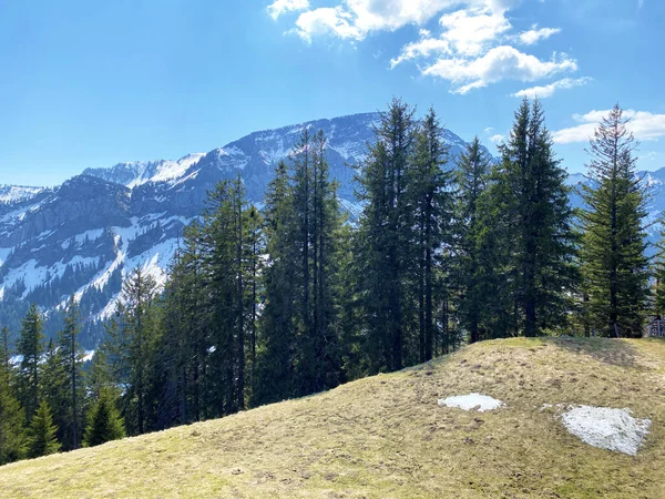 Eigental Vadisi Üzerindeki Alp Tepesi Nin Tepesinden Eigental Kantonu Lucerne — Stok fotoğraf