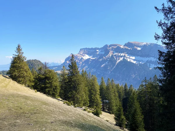 View Top Alpine Hill Ochs Eigental Valley Eigenthal Canton Lucerne — Stock Photo, Image