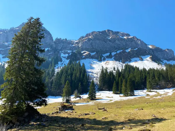 Kilátás Alpok Csúcs Gnepfstein Mittagguepfi Oder Mittaggupfi Eigental Valley Eigenthal — Stock Fotó