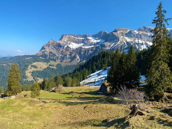 Alpine Picos Klimsenhorn Esel Tomlishorn Widderfeld Maciço Montanha Pilatus Monte — Fotografia de Stock