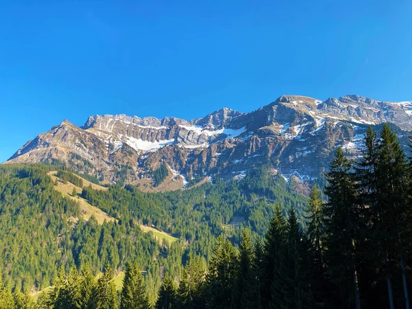 Alp Tepeleri Klimsenhorn Esel Tomlishorn Widderfeld Mountain Massif Pilatus Veya — Stok fotoğraf