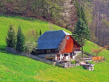 Geleneksel kırsal mimari ve aile çiftlik hayvanları Seeztal vadisinde ve Walensee Gölü üzerinde - St. Gallen, İsviçre (Kanton St. Gallen, Schweiz)