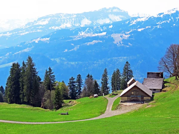 Traditionelle Ländliche Architektur Und Familienbetriebe Seeztal Und Über Dem Walensee — Stockfoto