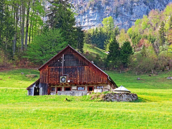 Traditionel Landlig Arkitektur Husdyrbrug Seeztal Dalen Walensee Søen Walenstadtberg Canton - Stock-foto