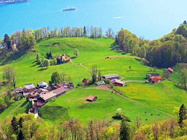 Traditional Rural Architecture Family Livestock Farms Seeztal Valley Lake Walensee — Stock Photo, Image