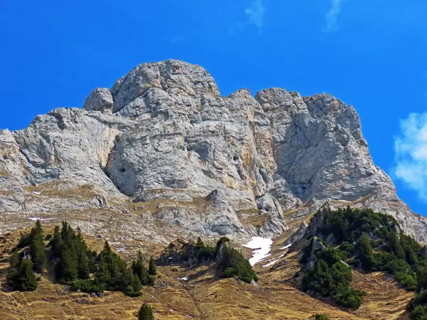Alpine Peak Fruemsel Frumsel Cordilheira Churfirsten Entre Região Obertoggenburg Lago — Fotografia de Stock