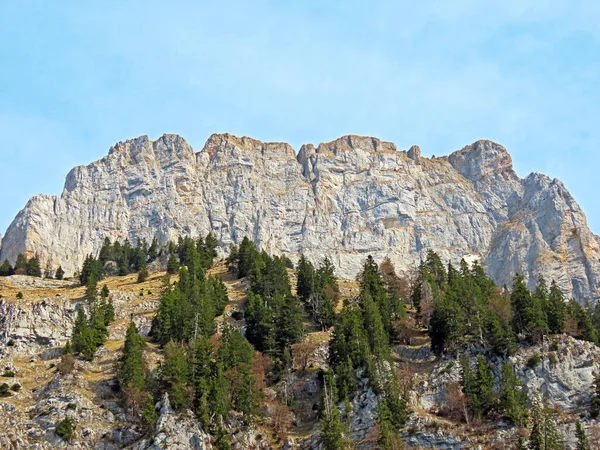 Alpesi Csúcs Brisi Churfirsten Hegységben Obertoggenburg Régió Walensee Között Walenstadtberg — Stock Fotó