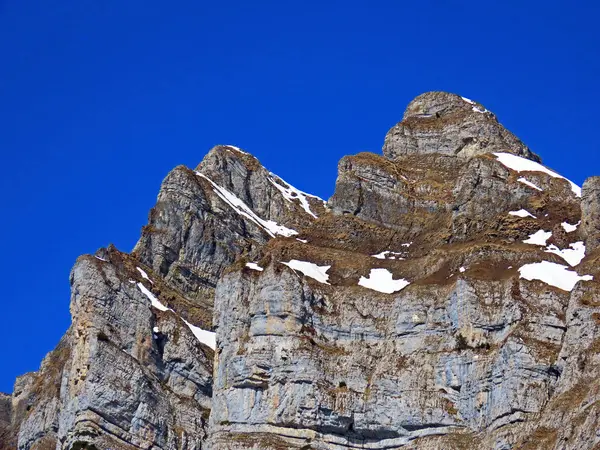 Alpine Peakschaeren Scharen Στην Οροσειρά Churfirsten Μεταξύ Της Περιφέρειας Obertoggenburg — Φωτογραφία Αρχείου