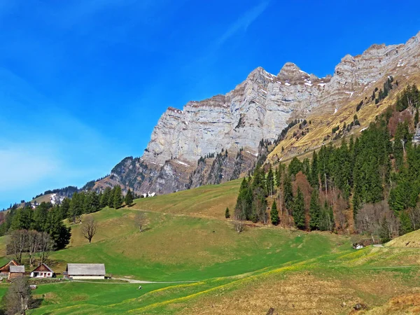 アルプスの峰NaegelibergまたはNageliberg SchaerenまたはScharen Wartは チュルファーテン山脈の中で カントン セントガレン スイス カントン セントガレン スイス — ストック写真