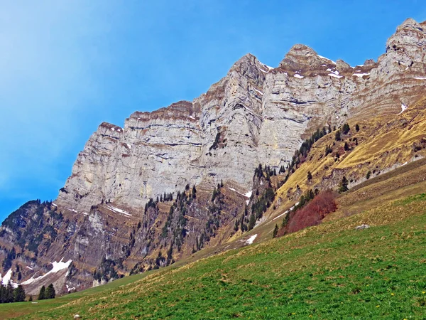 Alpentoppen Naegeliberg Nageliberg Schaeren Scharen Wart Het Churfirsten Gebergte Kanton — Stockfoto