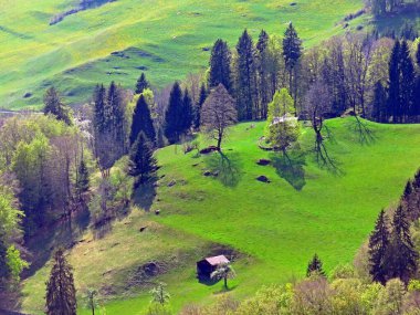 Seeztal Vadisi 'nin ve Walensee Gölü' nün üzerinde bulunan Alp otlakları ve otlakları - St. Gallen Kantonu, İsviçre (Kanton St. Gallen, Schweiz)