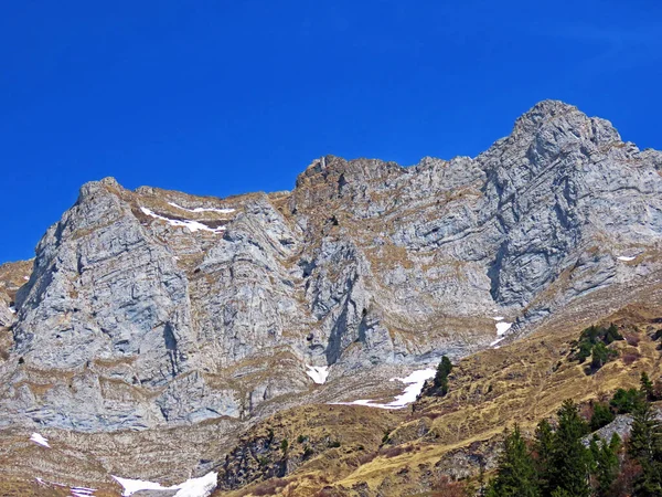 チュルファーレン山脈のアルパインピークSelun オーバートッゲンブルク地域とWalense Walenstadtberg カントン セント ガレン スイス カントン セント ガレン — ストック写真