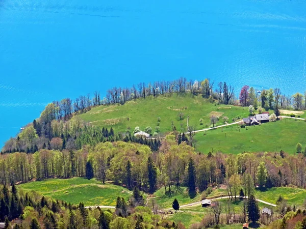 Pastos Alpinos Pastizales Del Valle Del Seeztal Sobre Lago Walensee — Foto de Stock