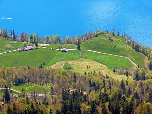 Pastos Alpinos Pastizales Del Valle Del Seeztal Sobre Lago Walensee — Foto de Stock