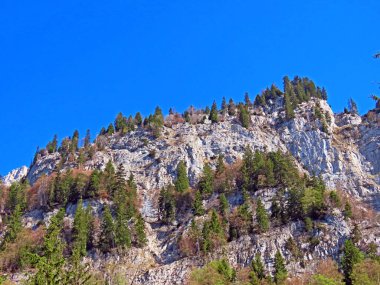 Churfirsten Dağları ve Walensee Gölü üzerindeki Alp Dağları 'nda St. Gallen Kantonu (Kanton St. Gallen, Schweiz)