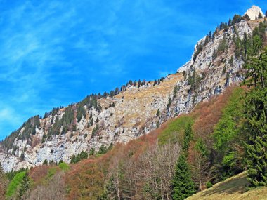 Churfirsten Dağları ve Walensee Gölü üzerindeki Alp Dağları 'nda St. Gallen Kantonu (Kanton St. Gallen, Schweiz)