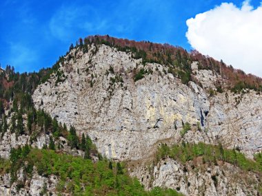 Churfirsten Dağları ve Walensee Gölü üzerindeki Alp Dağları 'nda St. Gallen Kantonu (Kanton St. Gallen, Schweiz)