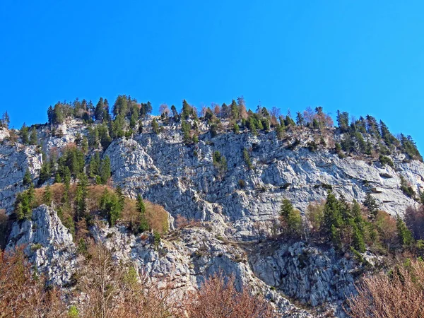 Felsen Und Steine Der Churfirsten Und Den Alpen Über Dem — Stockfoto