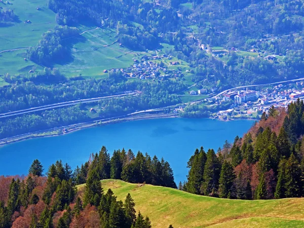 Jezioro Walensee Pomiędzy Pasmami Górskimi Doliny Churfirsten Seeztal Walenstadtberg Kanton — Zdjęcie stockowe