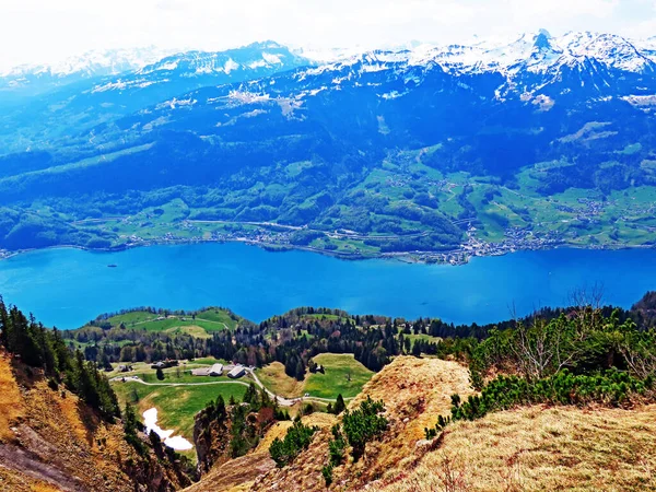 ヴァレンゼー湖 Walenstadtberg Canton Gallen Switzerland カントン セント ガレン スイス — ストック写真