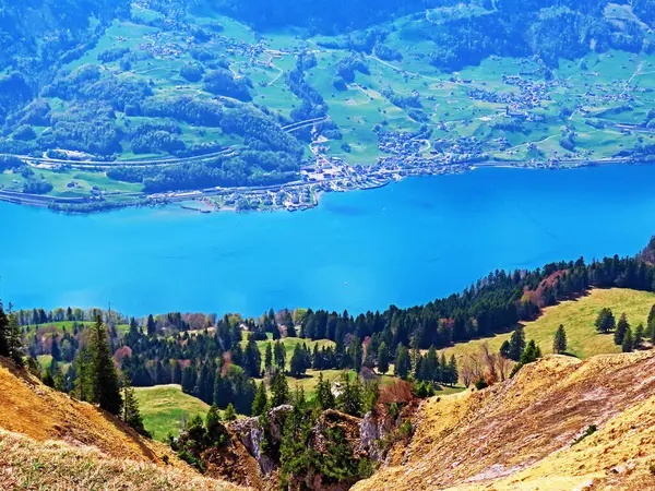 ヴァレンゼー湖 Walenstadtberg Canton Gallen Switzerland カントン セント ガレン スイス — ストック写真