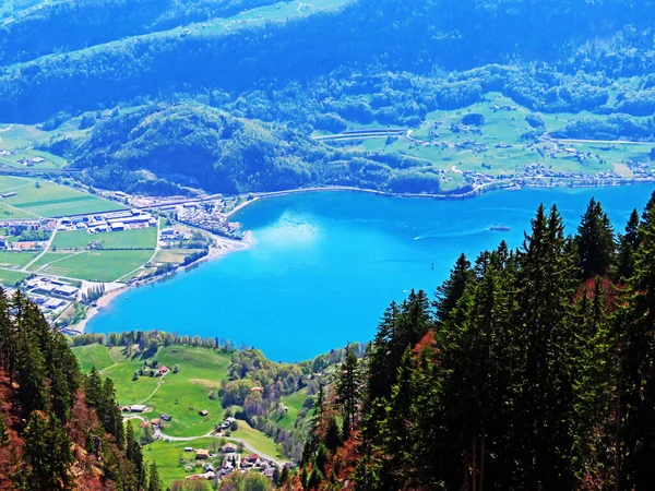Lago Walensee Tra Catene Montuose Churfirsten Seeztal Valle Subalpina Walenstadtberg — Foto Stock
