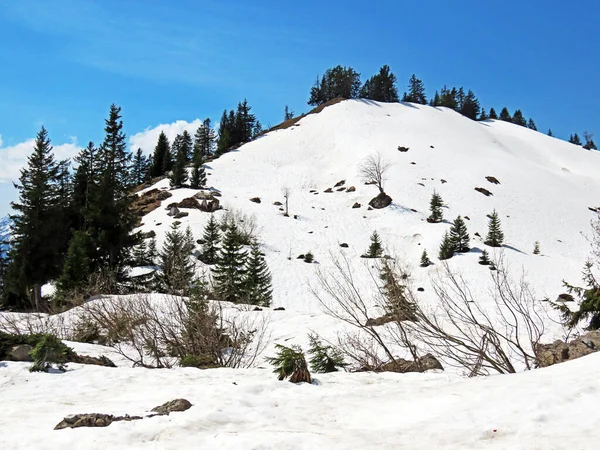 Vorfrühlingsatmosphäre Mit Den Letzten Resten Von Winter Und Schnee Seeztal — Stockfoto