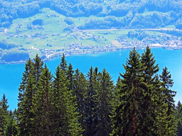 Mischwälder Und Ausgelichtete Bäume Den Hängen Der Churfirsten Und Alptal — Stockfoto