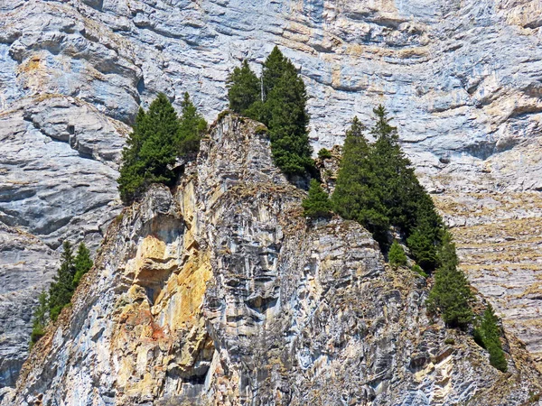 Florestas Mistas Árvores Diluídas Nas Encostas Cordilheira Churfirsten Vale Alpino — Fotografia de Stock