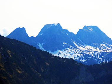 Alp Dağları, Alvier Grubu dağ sırasındaki Chrummenstein, Alvier ve Gauschla tepeleri, Rheinthal ve Seeztal vadileri arasında, Walenstadtberg - İsviçre 'nin St. Gallen Kantonu (Schweiz)