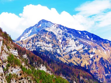 Alp zirvesi Sichelchamm, Rheinthal ve Seeztal vadileri arasında yer alan Alvier grubu dağ sıralarında, Walenstadtberg - St. Gallen Kantonu, İsviçre (St. Gallen Kantonu, Schweiz)