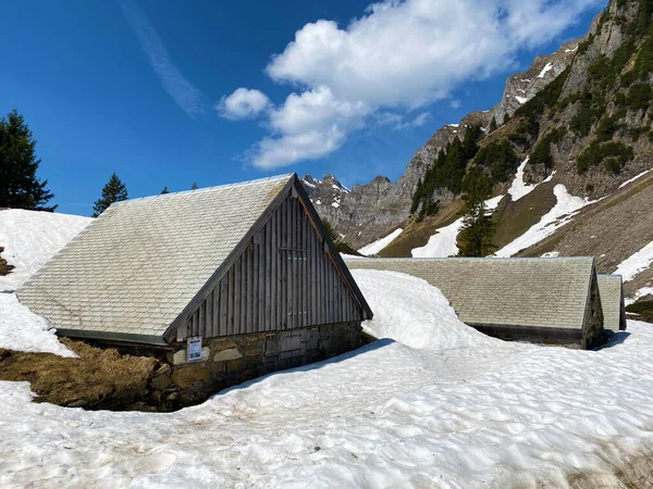 Architecture Rurale Traditionnelle Élevages Familiaux Dans Vallée Seeztal Dessus Lac — Photo