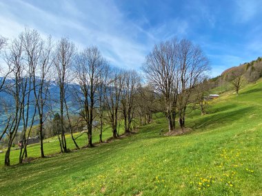 Seeztal Vadisi 'nin ve Walensee Gölü' nün üzerinde bulunan Alp otlakları ve otlakları - St. Gallen Kantonu, İsviçre (Kanton St. Gallen, Schweiz)