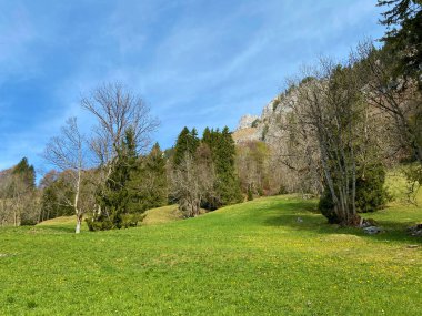 Seeztal Vadisi 'nin ve Walensee Gölü' nün üzerinde bulunan Alp otlakları ve otlakları - St. Gallen Kantonu, İsviçre (Kanton St. Gallen, Schweiz)