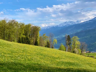 Seeztal Vadisi 'nin ve Walensee Gölü' nün üzerinde bulunan Alp otlakları ve otlakları - St. Gallen Kantonu, İsviçre (Kanton St. Gallen, Schweiz)