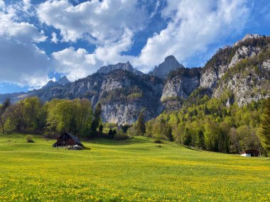 Seeztal Vadisi 'nin ve Walensee Gölü' nün üzerinde bulunan Alp otlakları ve otlakları - St. Gallen Kantonu, İsviçre (Kanton St. Gallen, Schweiz)
