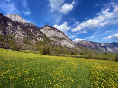 Seeztal Vadisi 'nin ve Walensee Gölü' nün üzerinde bulunan Alp otlakları ve otlakları - St. Gallen Kantonu, İsviçre (Kanton St. Gallen, Schweiz)