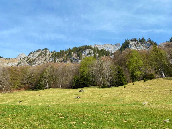 瑞士圣加仑州瓦伦施塔茨堡的塞萨尔河谷和瓦伦塞湖上方的高山牧场和草原 施韦兹 圣加仑肯顿 — 图库照片