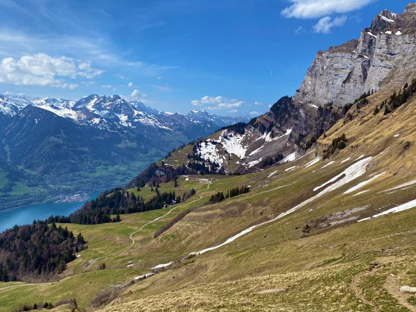 Pastagens Prados Alpinos Vale Seeztal Sobre Lago Walensee Walenstadtberg Cantão — Fotografia de Stock