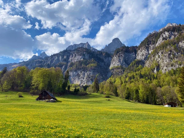 瑞士圣加仑州瓦伦施塔茨堡的塞萨尔河谷和瓦伦塞湖上方的高山牧场和草原 施韦兹 圣加仑肯顿 — 图库照片